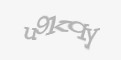 Sigurnosni kod